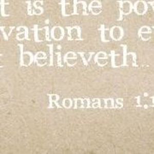 Meet your Posher, Darla